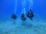 Hawaii Scuba divng 32