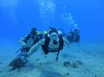 Hawaii Scuba divng 33