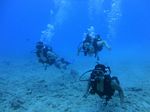 Hawaii Scuba divng 34