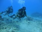 Hawaii Scuba divng 36