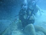 Hawaii Scuba divng 41