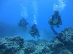 Hawaii Scuba divng 43