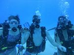 Hawaii Scuba divng 45