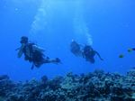 Hawaii Scuba divng 48