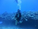 Hawaii Scuba divng 51