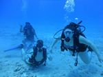 Hawaii Scuba divng 51