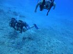 Hawaii Scuba divng 52