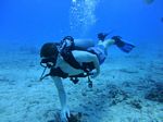 Hawaii Scuba divng 53