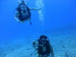 Hawaii Scuba divng 54