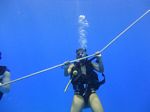 Hawaii Scuba divng 05