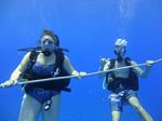 Hawaii Scuba divng 06