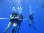 Hawaii Scuba divng 07