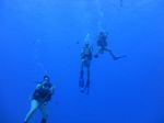 Hawaii Scuba divng 09