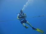 Hawaii Scuba divng 10