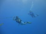 Hawaii Scuba divng 11