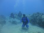 Hawaii Scuba divng 14