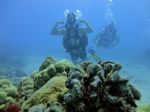 Hawaii Scuba divng 15