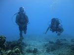 Hawaii Scuba divng 17