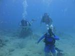 Hawaii Scuba divng 18