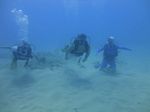 Hawaii Scuba divng 19