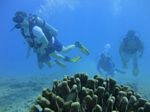 Hawaii Scuba divng 21