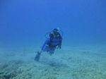 Hawaii Scuba divng 23