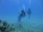 Hawaii Scuba divng 25