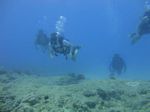 Hawaii Scuba divng 26