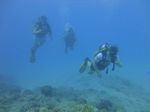 Hawaii Scuba divng 27