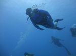 Hawaii Scuba divng 30