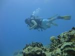 Hawaii Scuba divng 31