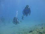 Hawaii Scuba divng 32