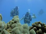 Hawaii Scuba divng 33