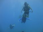 Hawaii Scuba divng 35