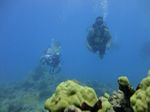 Hawaii Scuba divng 36