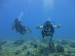 Hawaii Scuba divng 40