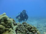 Hawaii Scuba divng 44