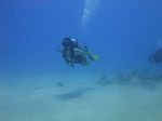 Hawaii Scuba divng 46