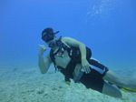 Hawaii Scuba divng 48