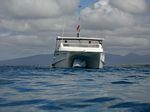 Hawaii Scuba divng 04