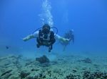 Hawaii Scuba divng 51