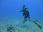 Hawaii Scuba divng 51