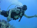 Hawaii Scuba divng 57