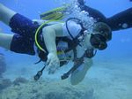 Hawaii Scuba divng 59