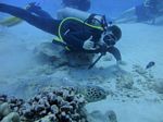 Hawaii Scuba divng 62