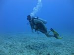 Hawaii Scuba divng 69