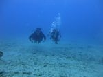 Hawaii Scuba divng 70