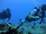 Hawaii Scuba divng 72