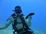 Hawaii Scuba divng 73