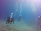 Hawaii Scuba divng 13